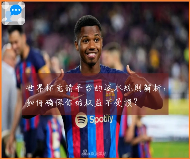 世界杯竞猜平台的返水规则解析，如何确保你的权益不受损？