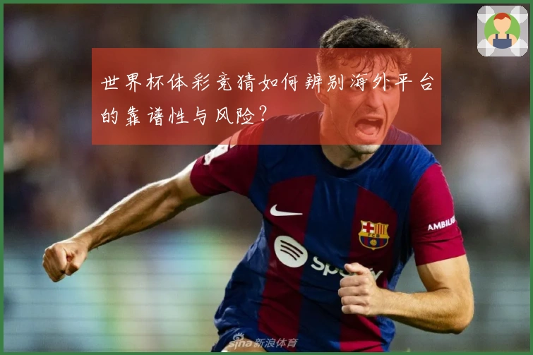 世界杯体彩竞猜如何辨别海外平台的靠谱性与风险？