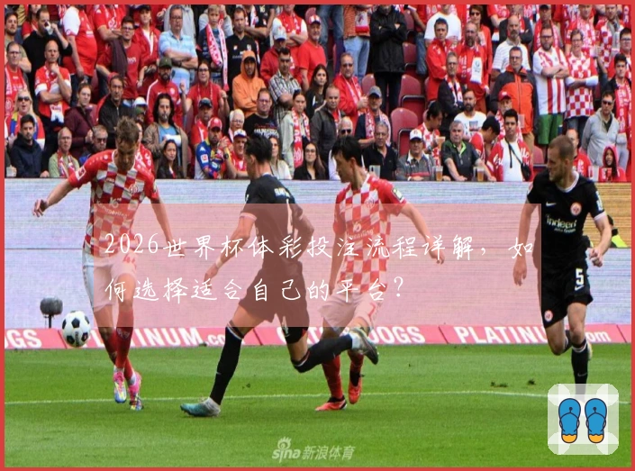 2026世界杯体彩投注流程详解，如何选择适合自己的平台？