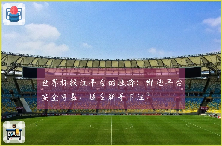 世界杯投注平台的选择：哪些平台安全可靠，适合新手下注？