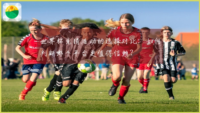 世界杯竞猜活动的选择对比：如何判断哪个平台更值得信赖？