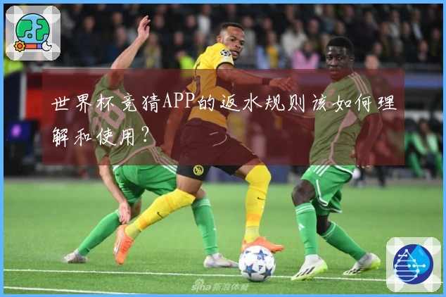 世界杯竞猜APP的返水规则该如何理解和使用？
