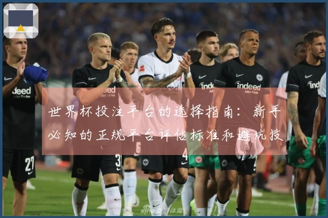 世界杯投注平台的选择指南：新手必知的正规平台评估标准和避坑技巧