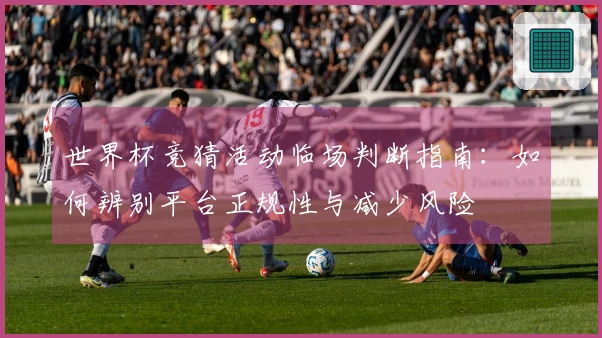 世界杯竞猜活动临场判断指南：如何辨别平台正规性与减少风险