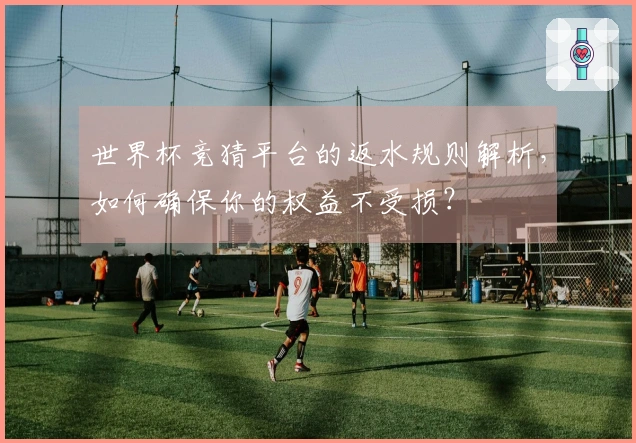 世界杯竞猜平台的返水规则解析，如何确保你的权益不受损？