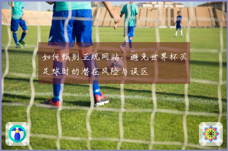 如何甄别正规网站，避免世界杯买足球时的潜在风险与误区