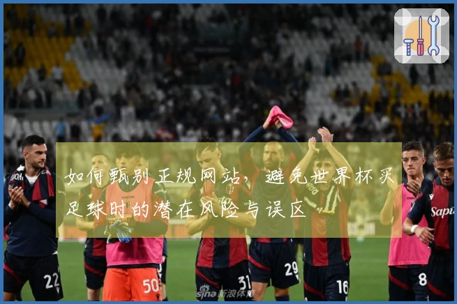 如何甄别正规网站，避免世界杯买足球时的潜在风险与误区
