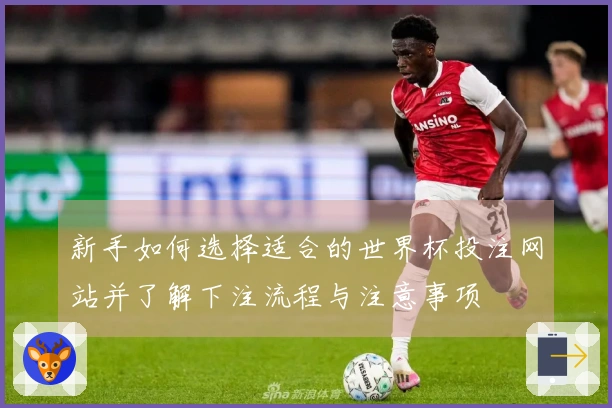 新手如何选择适合的世界杯投注网站并了解下注流程与注意事项