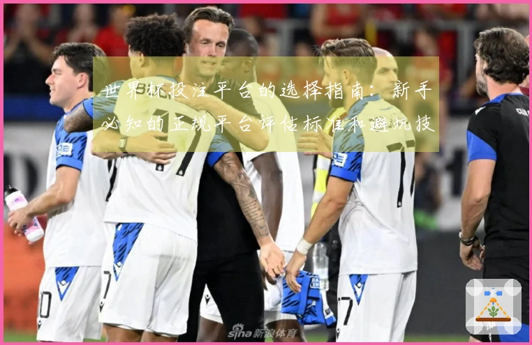世界杯投注平台的选择指南：新手必知的正规平台评估标准和避坑技巧